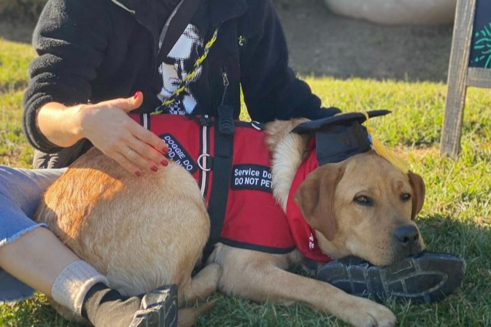 Selma Blair has graduated from a service dog programme