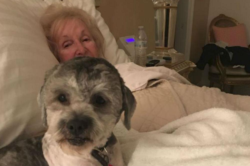 Shirley Ballas' new dog (c) Instagram