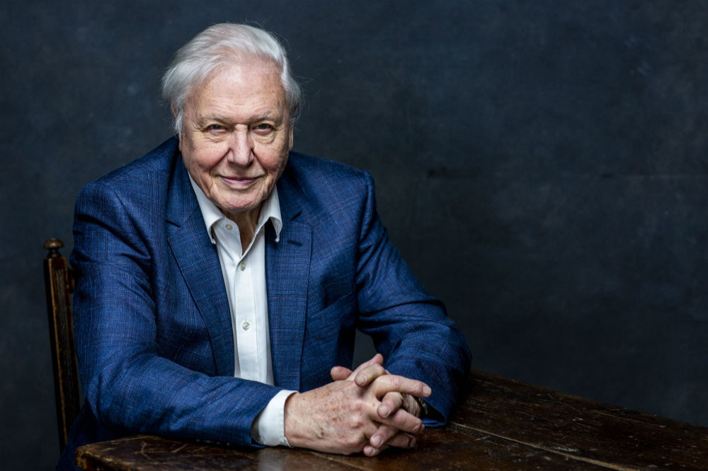 Sir David Attenborough was shocked to see how realistic the dinosaurs were on Prehistoric Planet