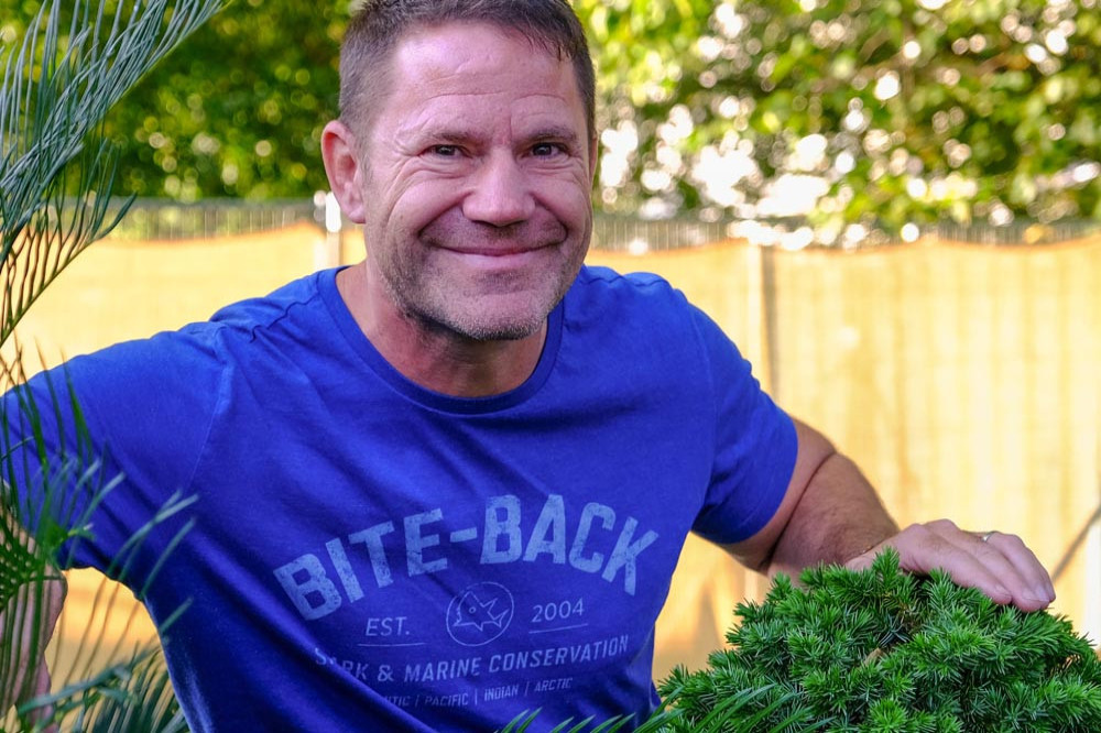 Steve Backshall reveals that the sting from some bullet ants left him reeling in pain and 'lapsing in and out of consciousness'