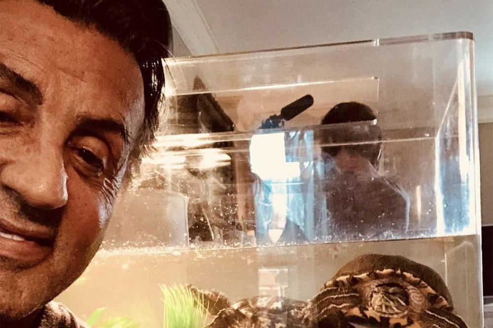 Sylvester Stallone and his Rocky turtles (c) Instagram 