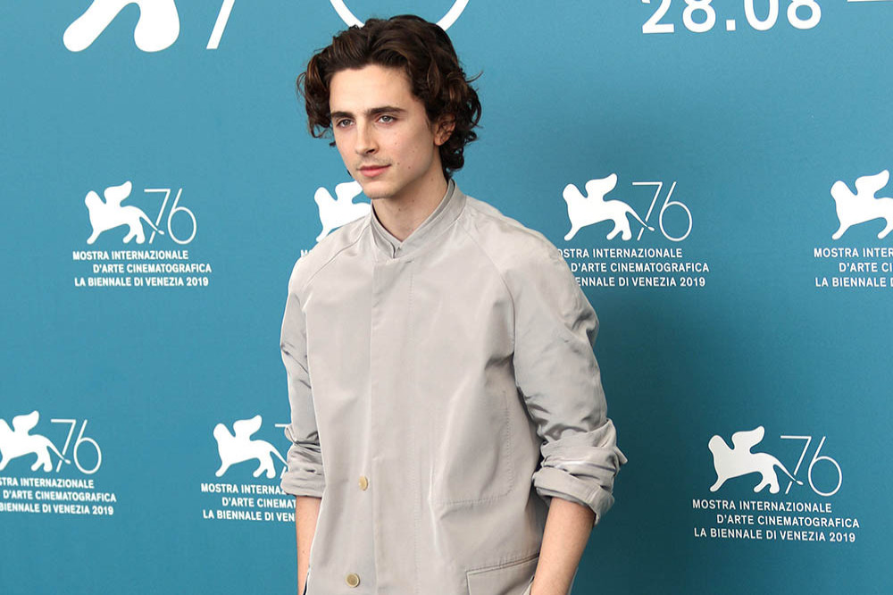 A model rumoured to have kissed  Timothée Chalamet breaks her silence