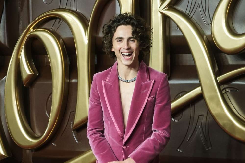 Timothee Chalamet at the premiere of Wonka