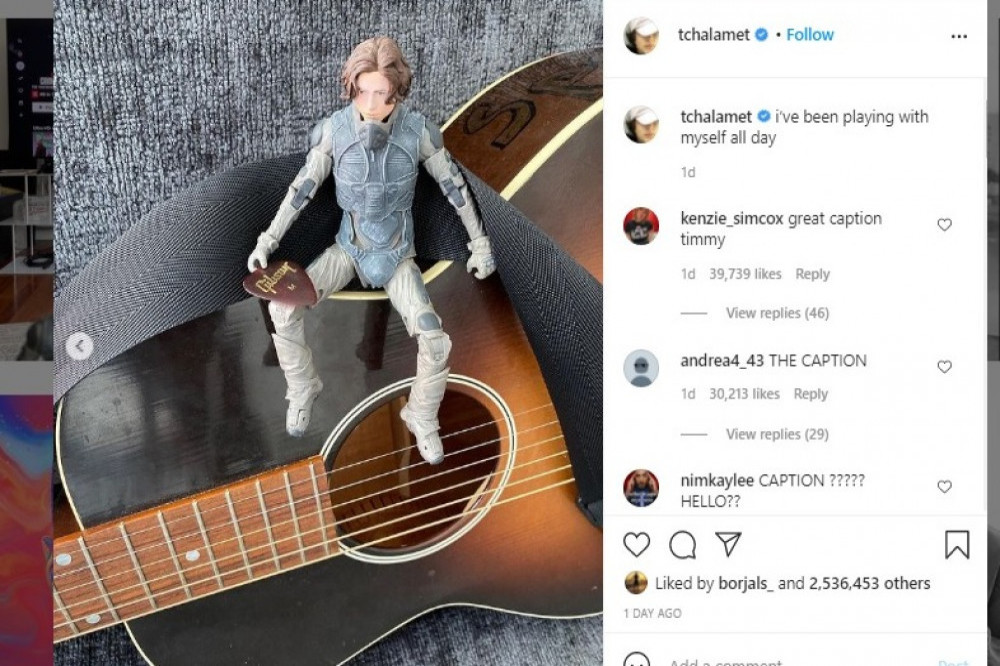 Timothee Chalamet's action figure (c) Instagram
