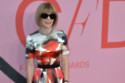 Anna Wintour has ‘total control’ over the Met Gala guest list