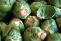 A woman is left terrified by Brussels sprouts