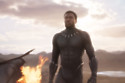 Chadwick Boseman in Black Panther / Picture Credit: Marvel Studios