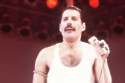Freddie Mercury could return to the stage as a hologram