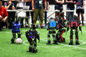 Ireland has triumphed at the prestigious RoboCup