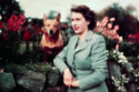 Queen Elizabeth stayed at Balmoral most summers