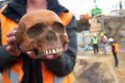 A skull was discovered amongst the display