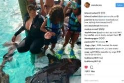 Mariah Carey goes swimming with sharks