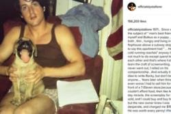 Sylvester Stallone's dog Butkus helped launch his acting career