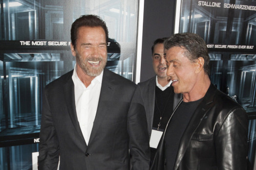 Arnold Schwarzenegger and Sylvester Stallone battled over the level of fat and body counts in their films