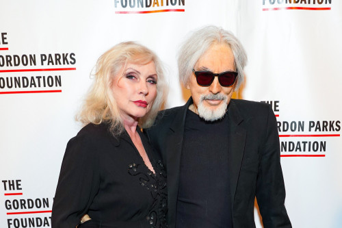 Chris Stein is unlikely to play live with Blondie again