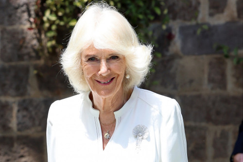 Queen Camilla is patron of SafeLives