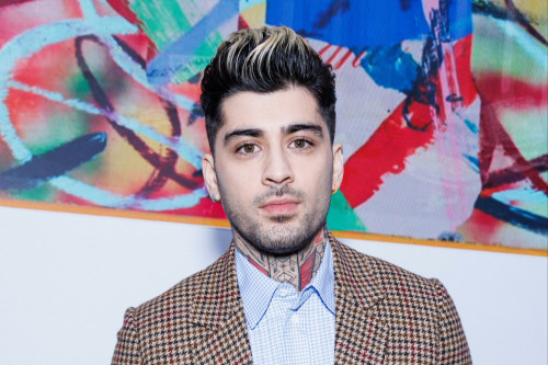 Zayn Malik wants to live and work on his farm full-time one day