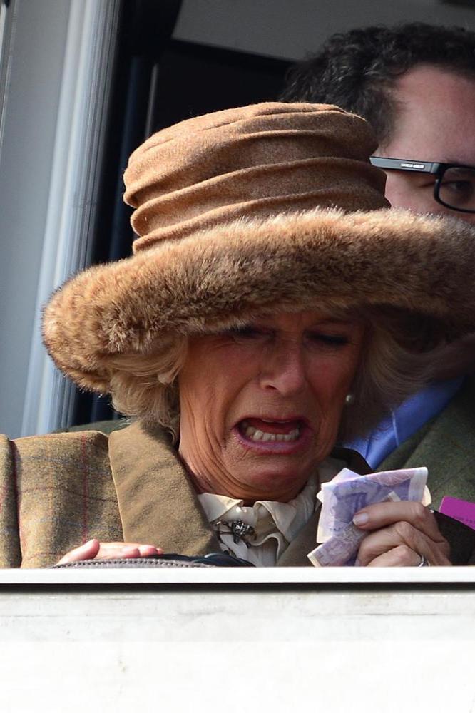 The Duchess of Cornwall at the races