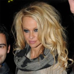 Pamela Anderson to enter Big Brother house