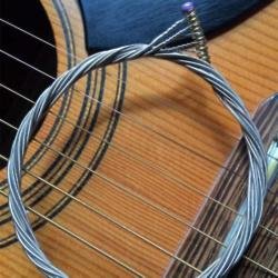 Celebs donate old guitar strings for Strings for Lupus 