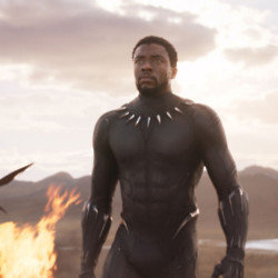 Chadwick Boseman in Black Panther / Picture Credit: Marvel Studios