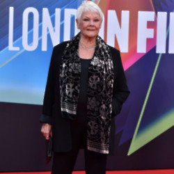 Judi Dench suffered a fall and only had her parrot for help