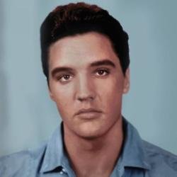 Elvis Presley The Searcher 3CD packshot 