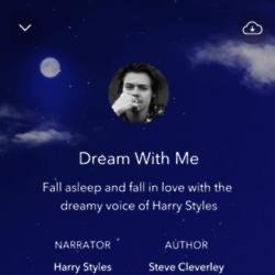 Harry Styles' Sleep Story