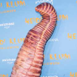 Heidi Klum thinks her Halloween costume will top last year's earthworm