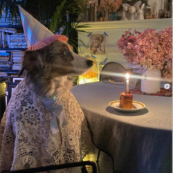 Helena Christensen celebrated her dog Kuma's birthday with a cake made from lasagne