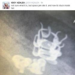 Iggy Azalea's Twitter post on dog's X-ray
