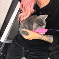 Jodie Marsh with Babycat (c) Twitter