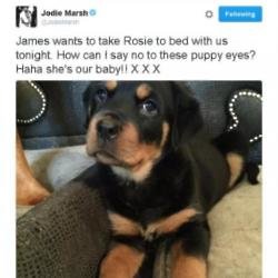 Jodie Marsh's Twitter post of new dog Rosie
