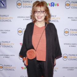 Joy Behar has never managed to get pregnant by a ghost