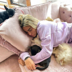 Katie Price has got her seventh dog after facing calls for her to be banned from owning pets