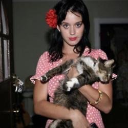Katy Perry and her pet cat (c) Instagram