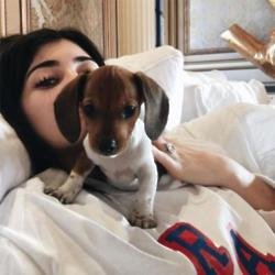 Kylie Jenner and her new puppy (c) Instagram