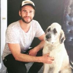 Liam Hemsworth and Dora [(c) wylderspets Instagram]