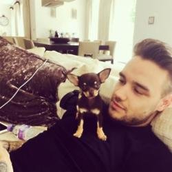 Liam Payne with his new puppy (c) Instagram