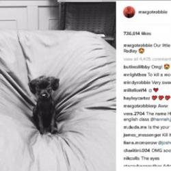 Margot Robbie's pet dog (c) Instagram