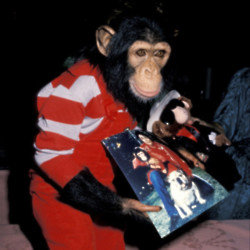 Michael Jackson's pet chimpanzee Bubbles