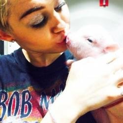 Miley Cyrus and her pet pig (c) Instagram