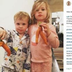 Neil Patrick Harris' twins (Instagram)