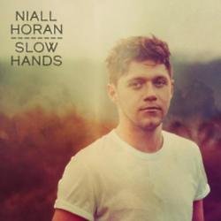 Niall Horan Slow Hands artwork 
