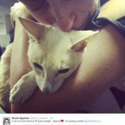Nicole Appleton with cat (c) Twitter