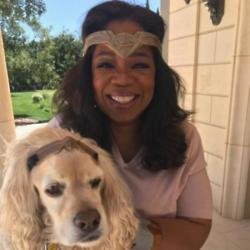 Oprah Winfrey's unimpressed dog (c) Twitter