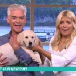 Phillip Schofield and Holly Willoughby with their new puppy (c) Twitter