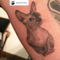 Rag'n'Bone Man's cat tat (c) Instagram/Rag'n'Bone Man