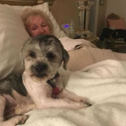 Shirley Ballas' new dog (c) Instagram