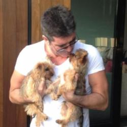Simon Cowell with his dogs Squiddly and Diddly